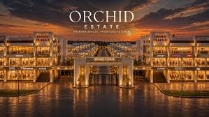 Orchid Real Estate