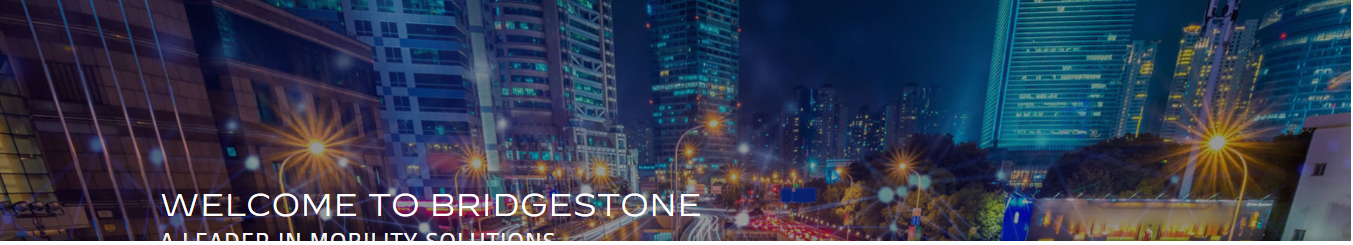Bridgestone Select